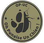 OP-UC, entreprise spécialisée dans la détection canine de punaise de lit